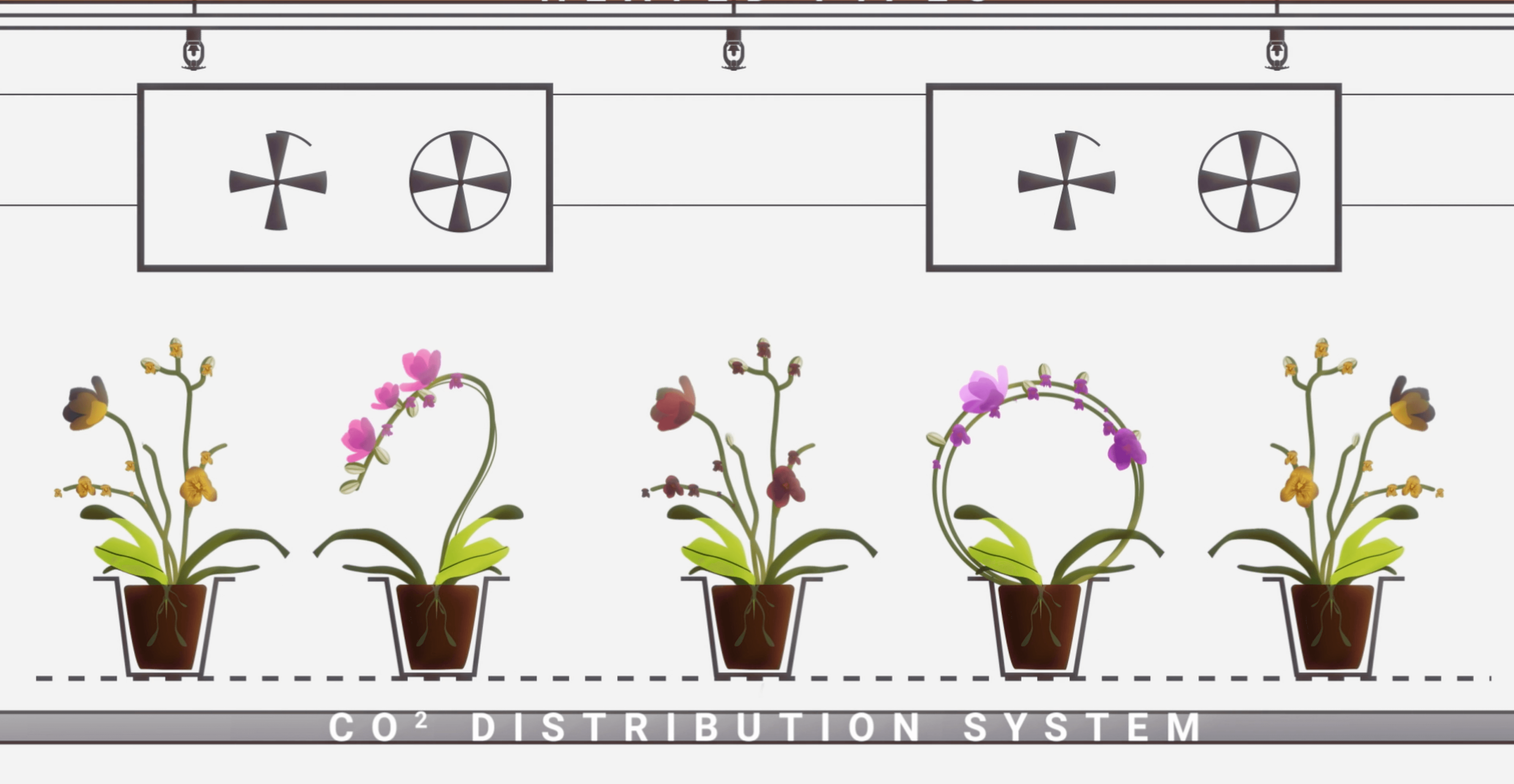 Cosmic Plants- Animation